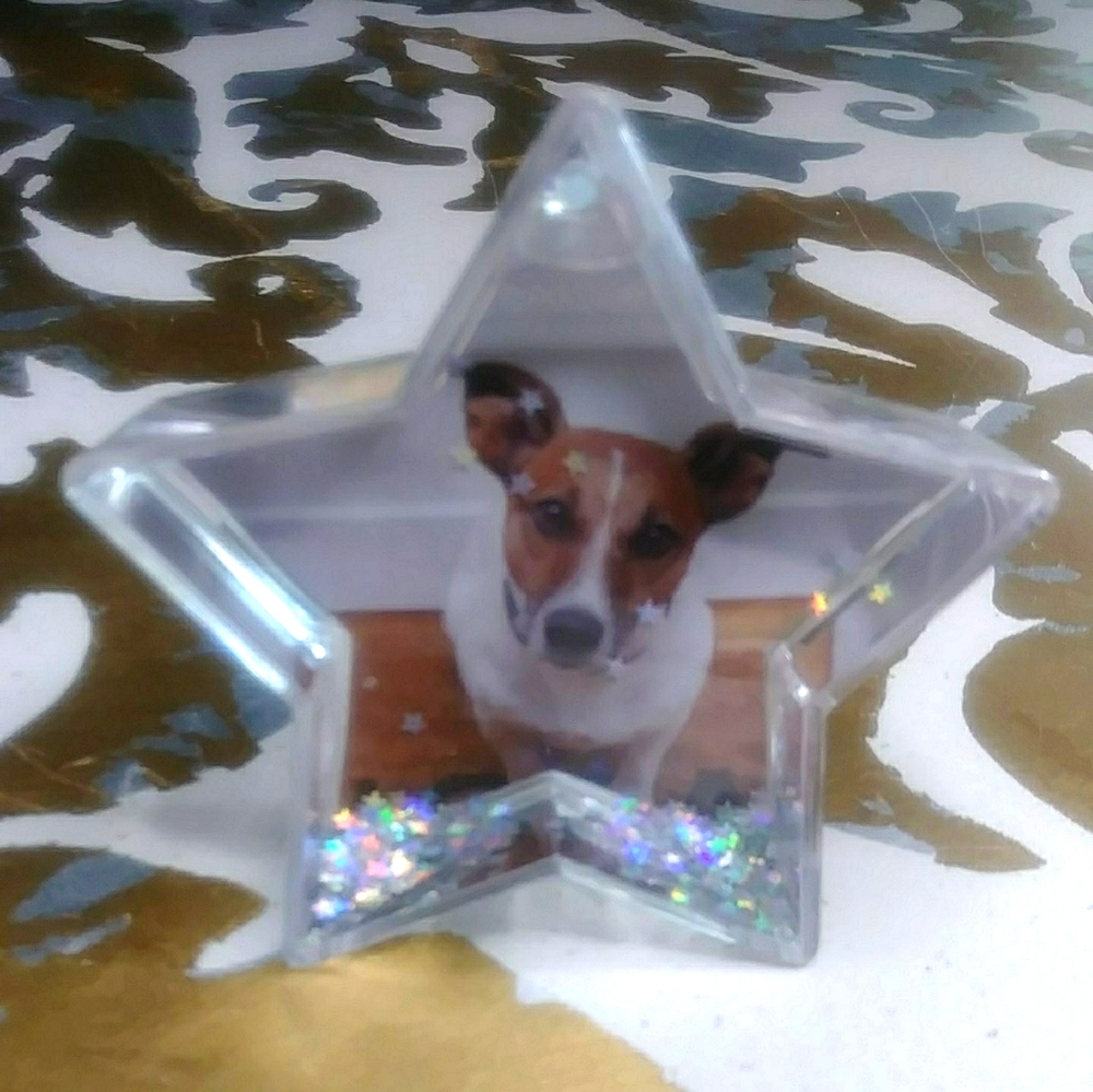 Star snow glob Photo Frame